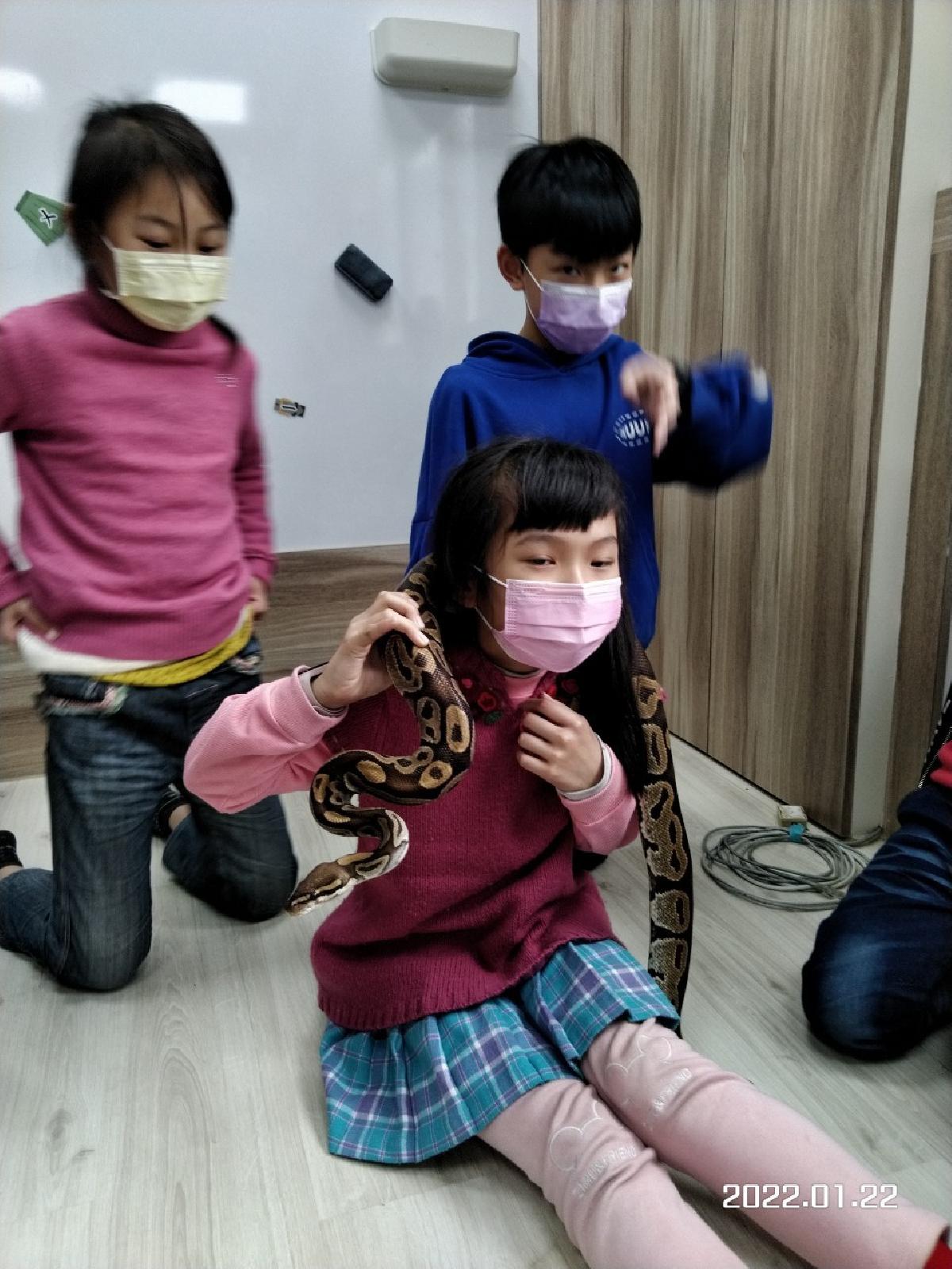 2022122昆 蟲 課_220122_39 2022122昆 蟲 課_220122_39